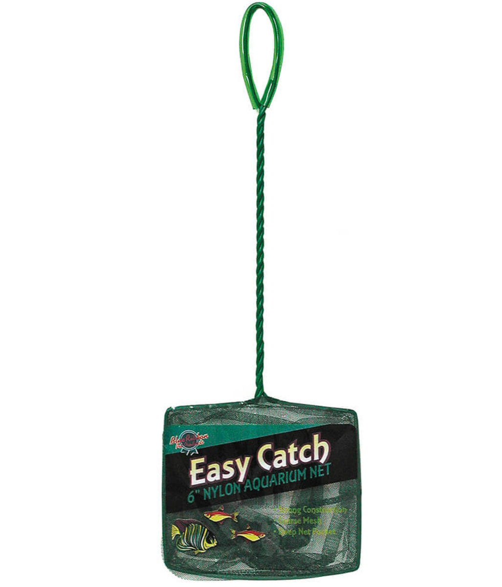 beginners fishing pole Fishing Rods for Beginners: Your Comprehensive Guide