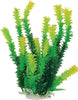 AT BUSHY PLANT GREEN 12 INCH