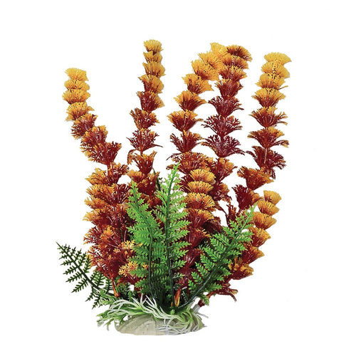 AT CABOMBA RED/YELLOW PLANT 6 INCH
