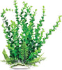 AT ELODEA PLANT GREEN 9 INCH