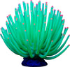 GLOFISH ANEMONE GREEN