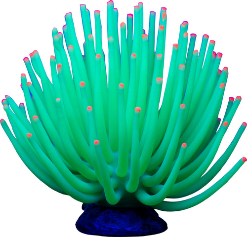 GLOFISH ANEMONE GREEN
