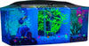 GLOFISH BETTA TRILOGY AQUARIUM 3 GAL
