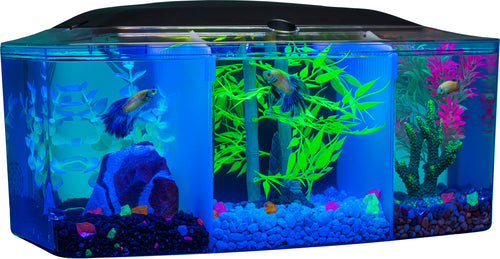 GLOFISH BETTA TRILOGY AQUARIUM 3 GAL