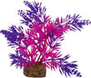 GLOFISH CYCLE LIGHT PLANT