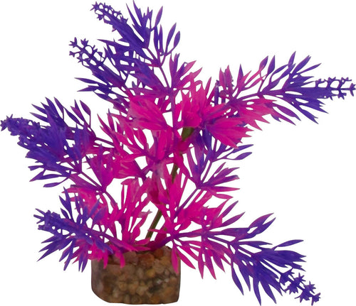 GLOFISH CYCLE LIGHT PLANT