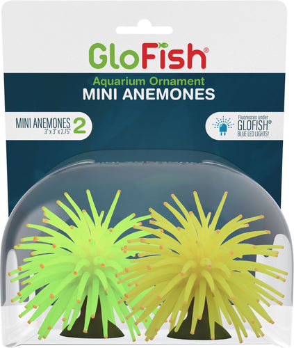 GLOFISH MINI ANEMONES 2PK