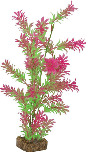 GLOFISH PLANT GREEN/PINK LG