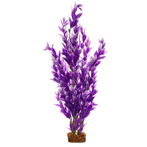 GLOFISH PLANT PURPLE/WHITE XL