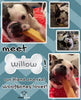 WoofBones Premium Yak Cheese Himalayan Chews