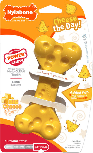 NYL DURA CHEW CHZ BONE MED