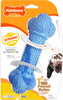 NYL STRONG CHEW RUBBER DOUBLE ACTION BONE