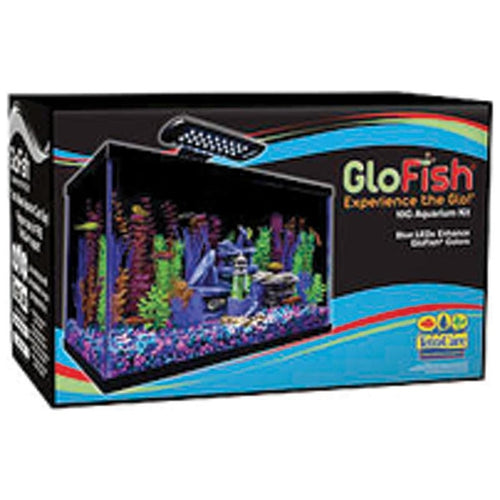 GLOFISH AQUARIUM KIT