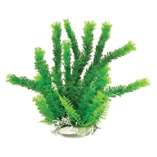 Aquatop Cabomba-like Aquarium Plant with Weighted Base