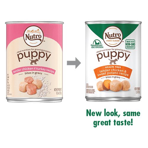 Nutro Bites in Gravy Puppy Wet Dog Food Tender Chicken & Turkey Recipe