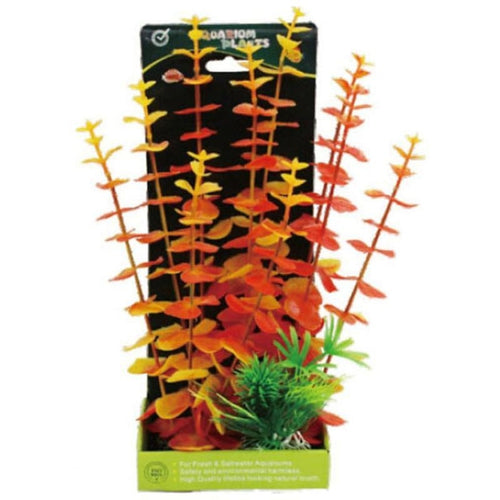 POPPY PET BACKGROUND POD #12