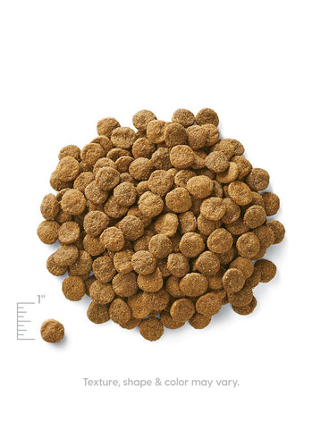 Solid Gold Sun Dancer™ Chicken, Tapioca & Turmeric Recipe