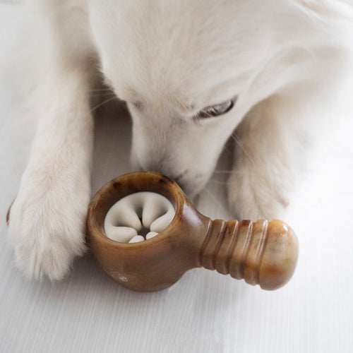 Benebone Peanut Butter Pawplexer