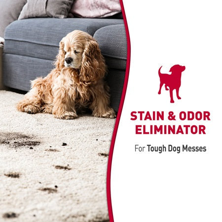 Nature's Miracle® Stain and Odor Remover Foam for Dogs