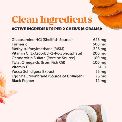 Pet Honesty Hip + Joint Health Supplement Chicken Flavor for Dogs