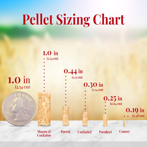 Lafeber Company Parrot Pellets