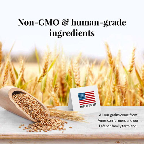 Lafeber Company Parrot Pellets