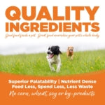 NutriSource® Turkey Meal & Barley Recipe Healthy Affordable Dry Dog Food