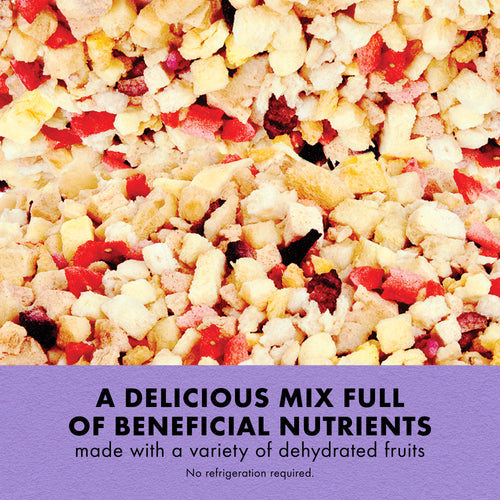 Zilla Reptile Munchies Fruit Mix