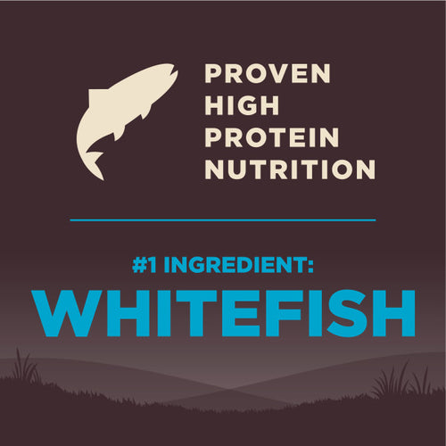 Wellness CORE Natural Grain Free Ocean Whitefish, Herring & Salmon Recipe Dry Dog Food