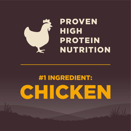 Wellness CORE Grain Free Natural Puppy Chicken Recipe Dog Food