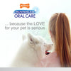 Nylabone Advanced Oral Care Senior Dog Dental Kit