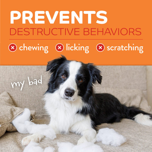 TropiClean Chew Stop Dog Behavior Aid Home Spray 4-In-1