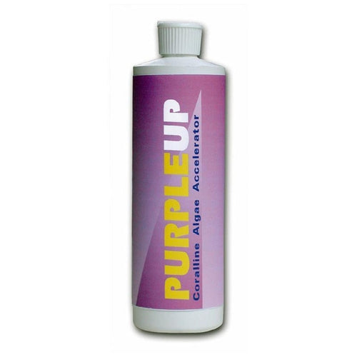 CARIBSEA PURPLEUP CORALLINE ALGAE ACCELERATOR