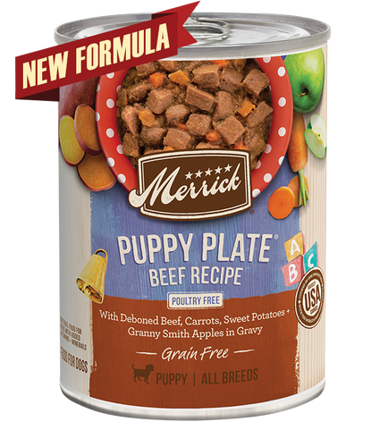 Merrick Grain Free Puppy Plate Beef Recipe in Gravy