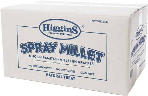 SPRAY MILLET 5#              1