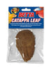 ZM BETTA  CATAPPA LEAF