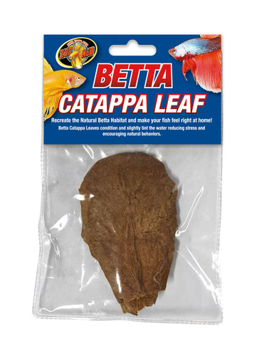 ZM BETTA  CATAPPA LEAF