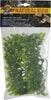 ZM MALAYSIAN FERN PLANT SML